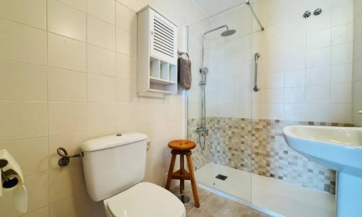 Bestaand - Appartement - La Mata - Puerto Romano