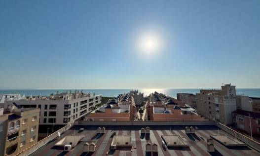 Bestaand - Appartement - La Mata - Puerto Romano