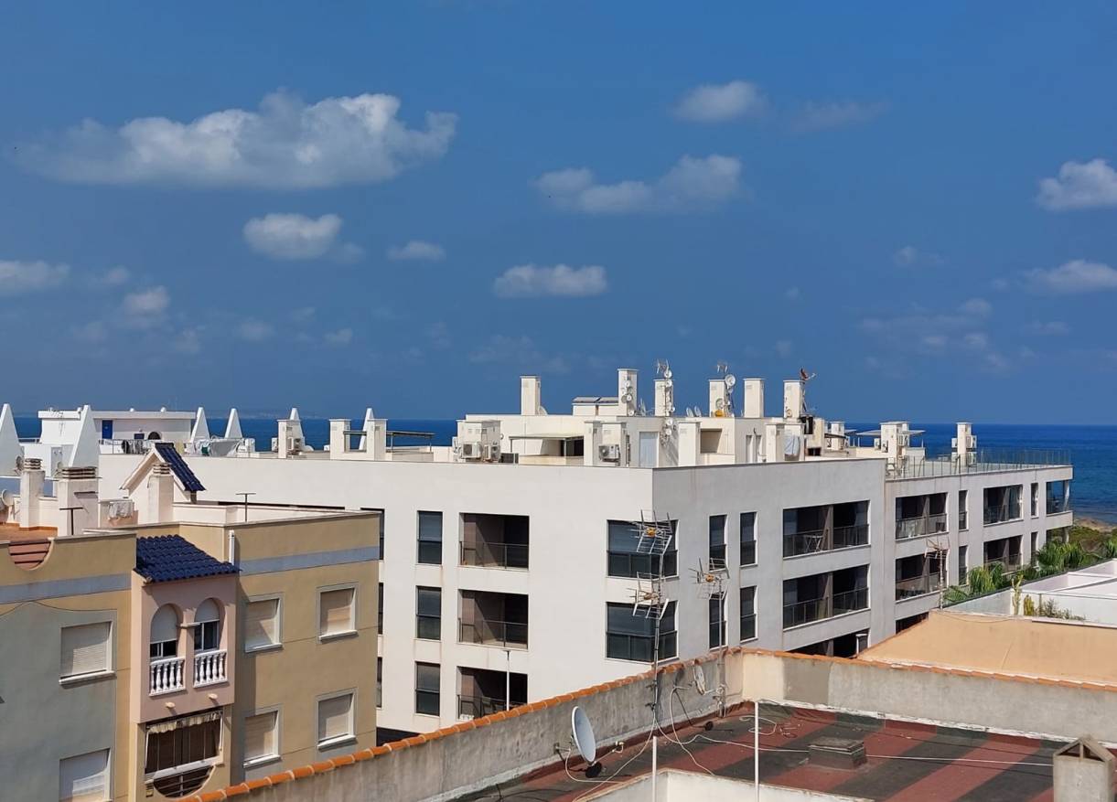 Bestaand - Appartement - La Mata - Puerto Romano