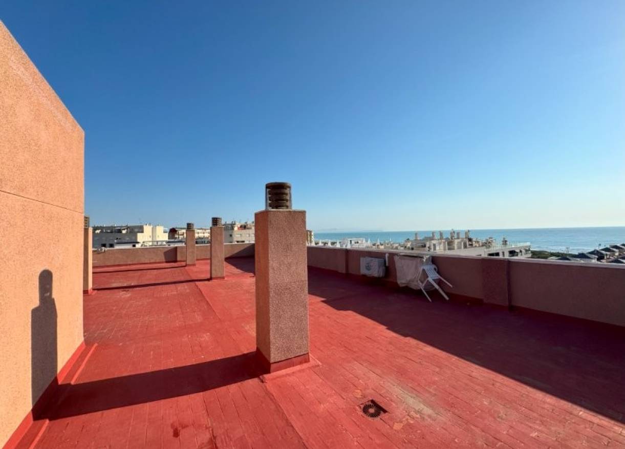 Bestaand - Appartement - La Mata - Puerto Romano