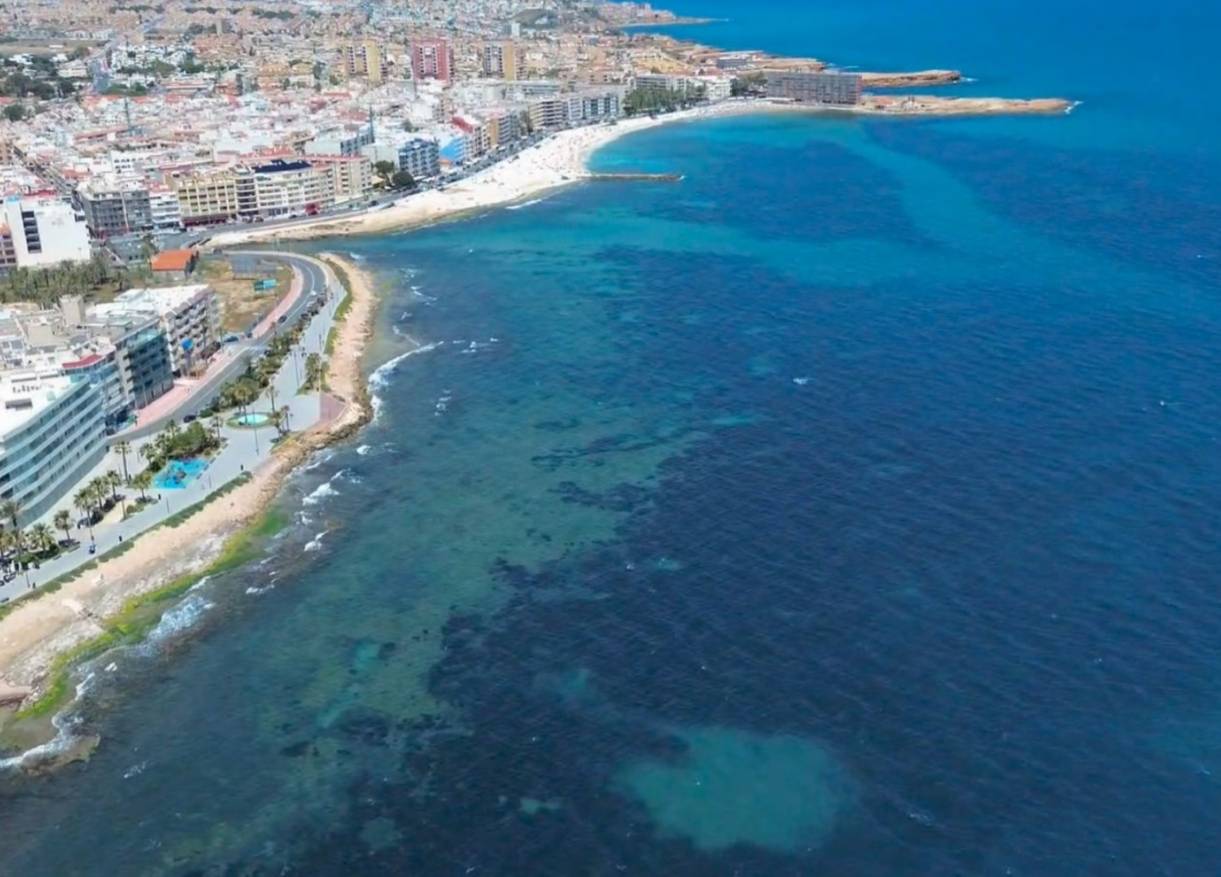 Bestaand - Appartement - Torrevieja - Playa del cura