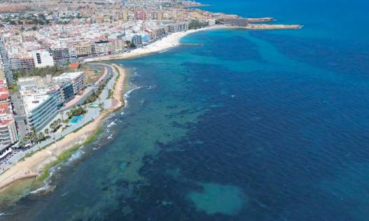 Bestaand - Appartement - Torrevieja - Playa del cura