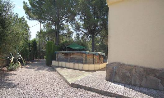 Bestaand - Finca - Jalón Valley - Jalón Vallei