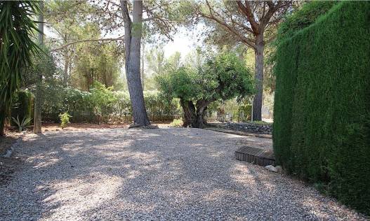 Bestaand - Finca - Jalón Valley - Jalón Vallei
