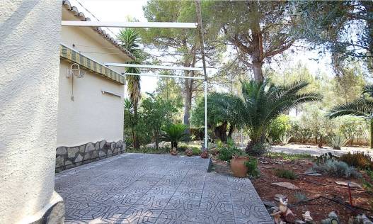 Bestaand - Finca - Jalón Valley - Jalón Vallei