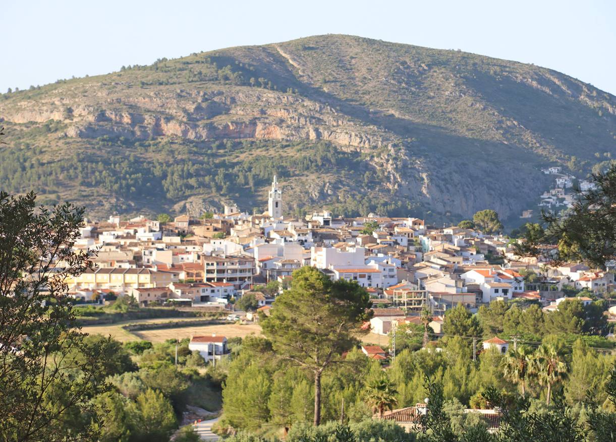 Bestaand - Finca - Jalón Valley - Jalón Vallei