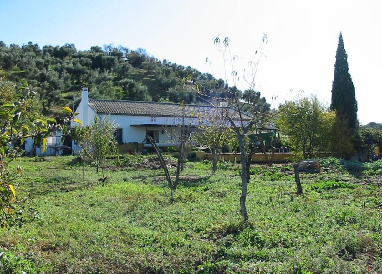 Bestaand - Villa - El Gastor