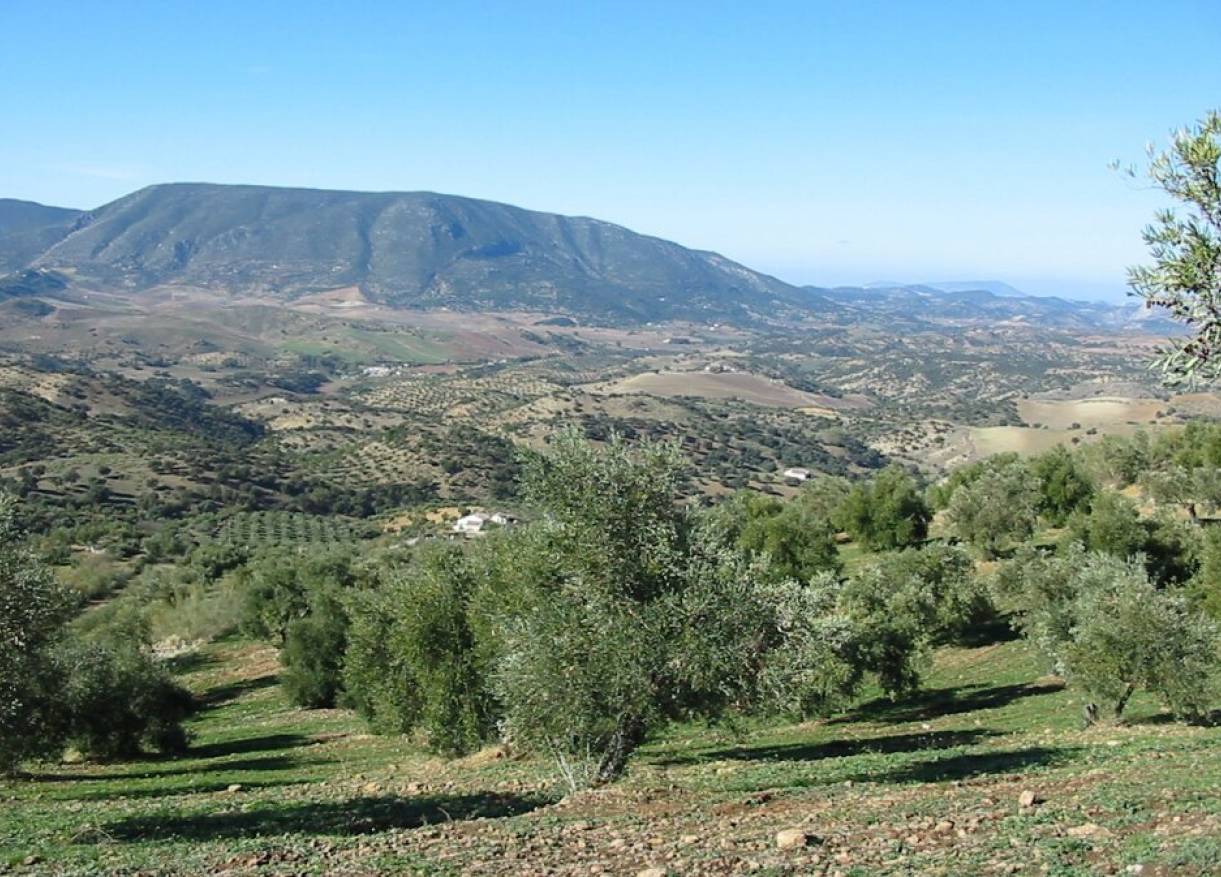 Bestaand - Villa - El Gastor