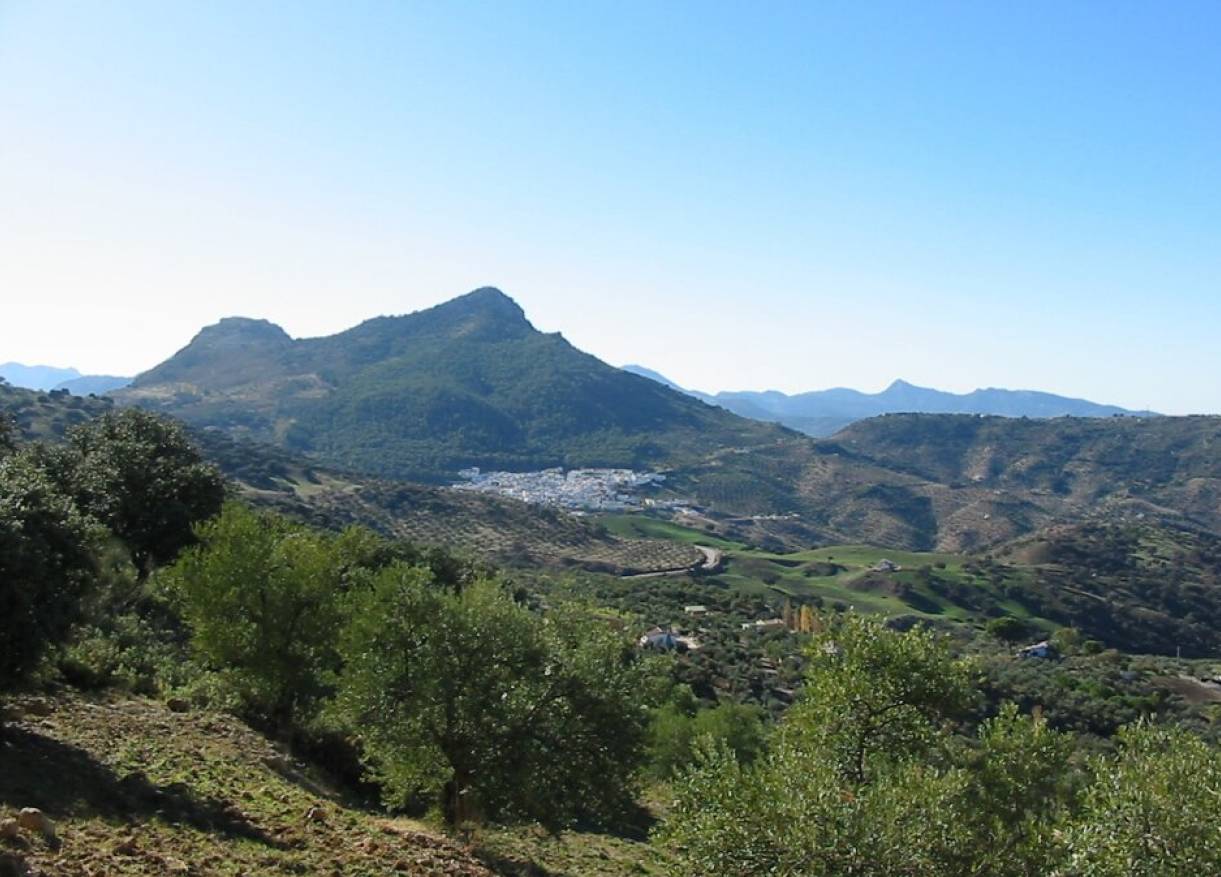 Bestaand - Villa - El Gastor