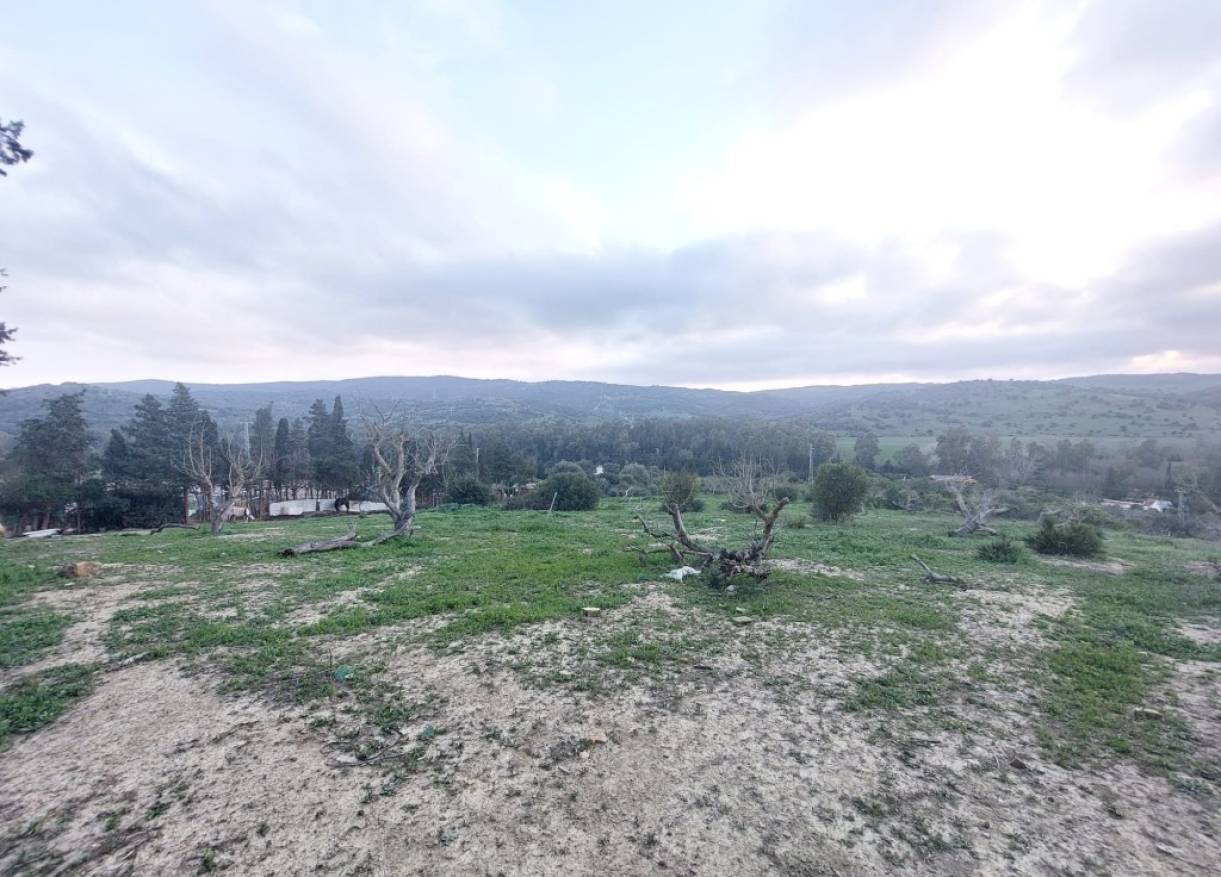 Bestaand - Villa - San Martín del Tesorillo