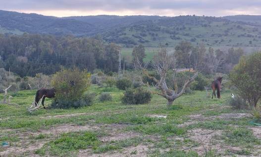 Bestaand - Villa - San Martín del Tesorillo