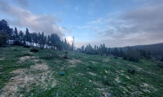 Bestaand - Villa - San Martín del Tesorillo