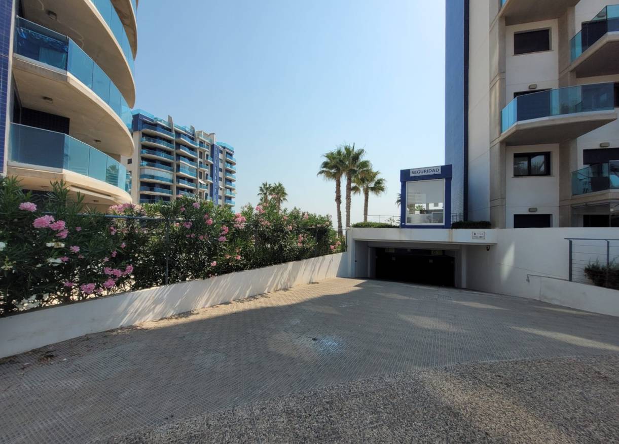 Vakantie verhuur - Appartement - Orihuela Costa - Punta Prima