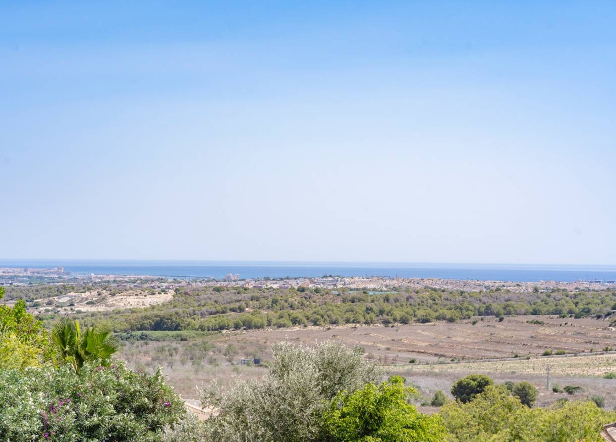 Bestaand - Townhouse / Semi-detached - San Miguel de Salinas - San Miguel