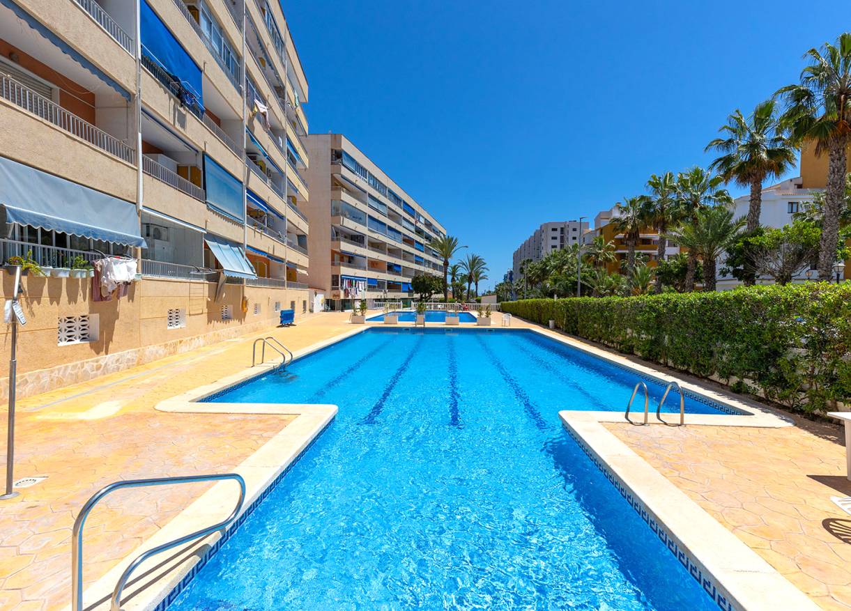 Bestaand - Appartement - Torrevieja - Rocio del Mar