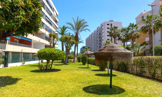 Bestaand - Appartement - Torrevieja - Rocio del Mar
