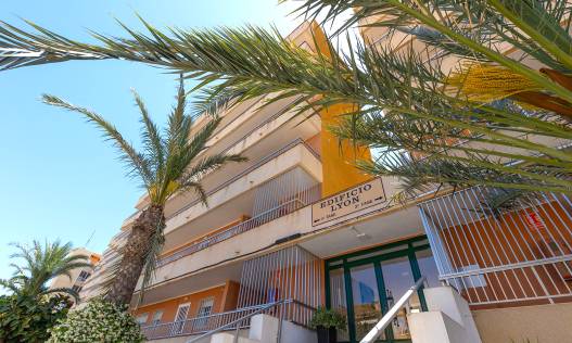 Bestaand - Appartement - Torrevieja - Rocio del Mar