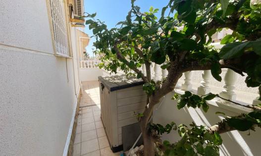 Bestaand - Villa - Ciudad Quesada - Airstrip