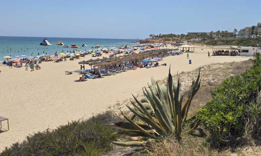 Bestaand - Terraced house / Townhouse - Orihuela Costa - Mil Palmeras