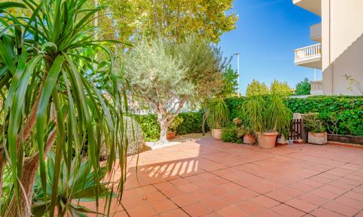 Bestaand - Duplex - Jávea - El Arenal