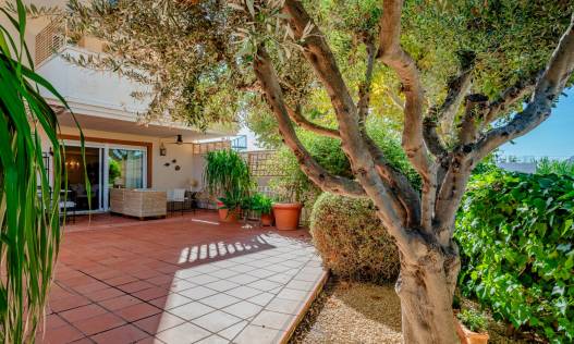 Bestaand - Duplex - Jávea - El Arenal