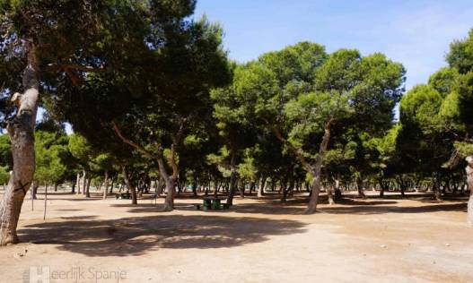 Bestaand - Appartement - San Javier - Santiago de la Ribera