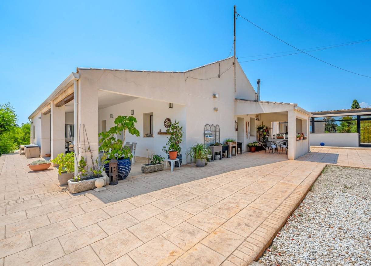 Bestaand - Finca - Elche - Elche/Elx