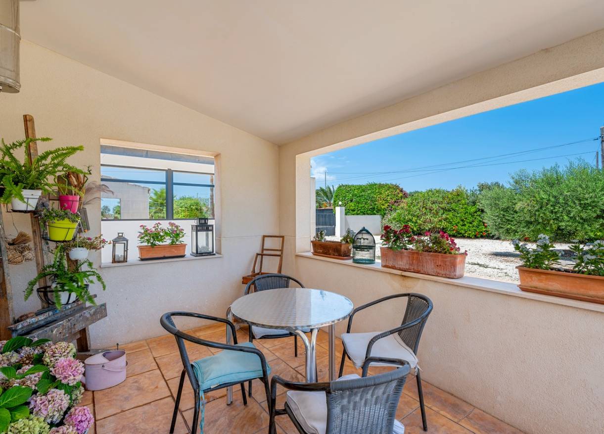 Bestaand - Finca - Elche - Elche/Elx