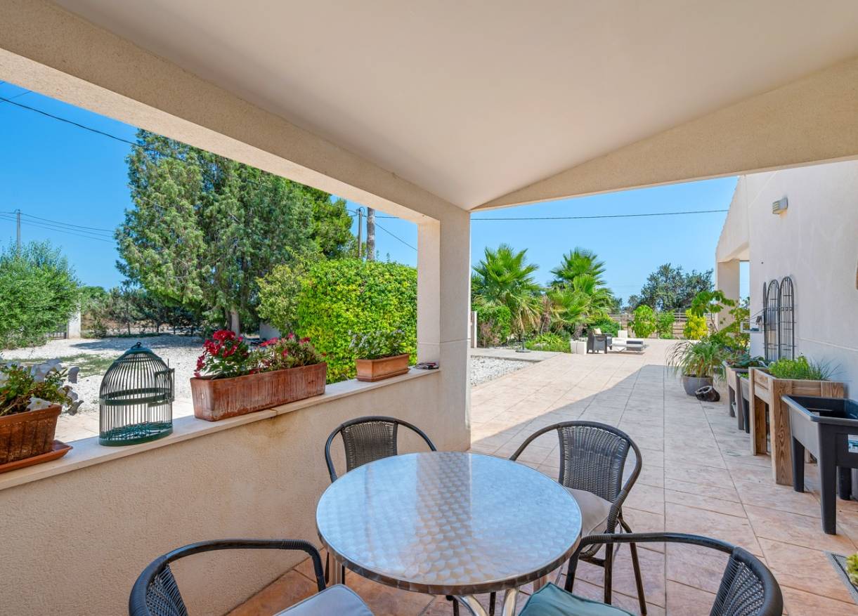 Bestaand - Finca - Elche - Elche/Elx