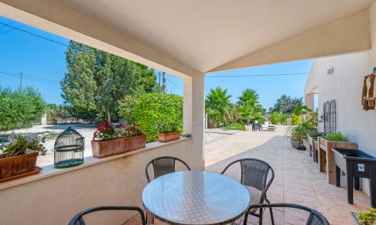 Bestaand - Finca - Elche - Elche/Elx