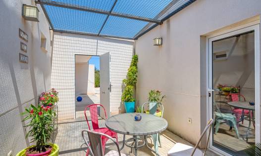 Bestaand - Finca - Elche - Elche/Elx