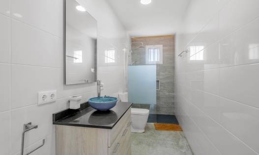 Bestaand - Finca - Elche - Elche/Elx