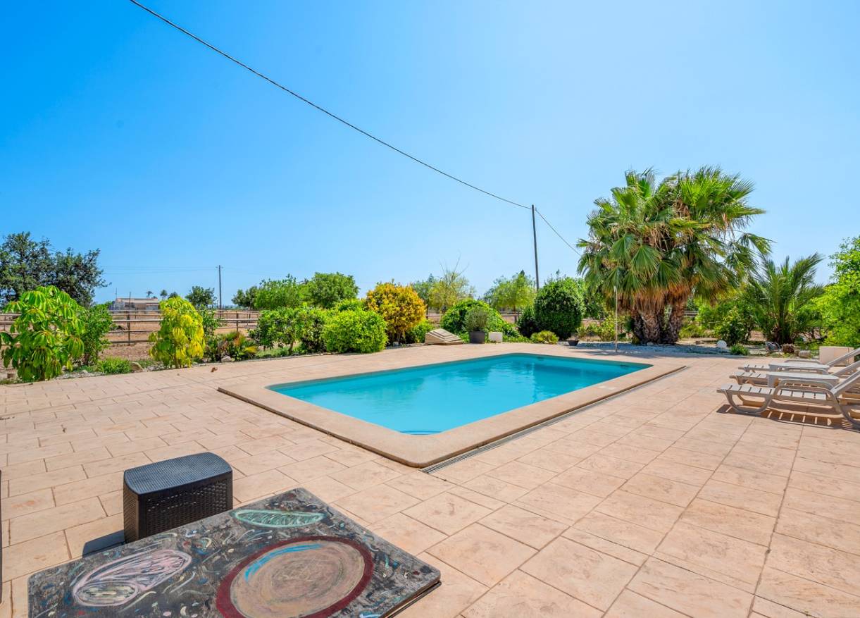 Bestaand - Finca - Elche - Elche/Elx