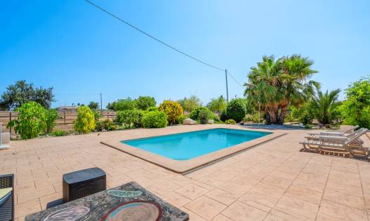 Bestaand - Finca - Elche - Elche/Elx