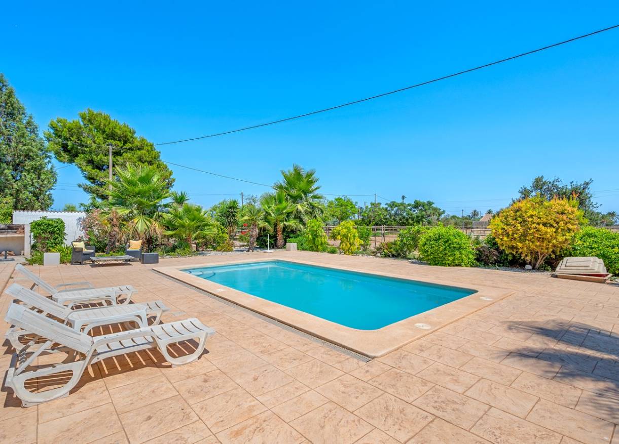 Bestaand - Finca - Elche - Elche/Elx