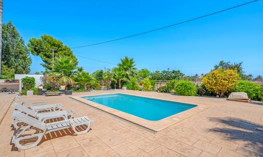 Bestaand - Finca - Elche - Elche/Elx