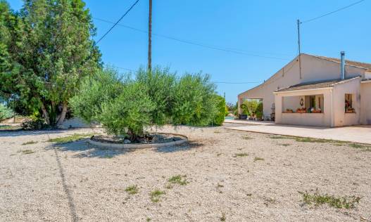 Bestaand - Finca - Elche - Elche/Elx