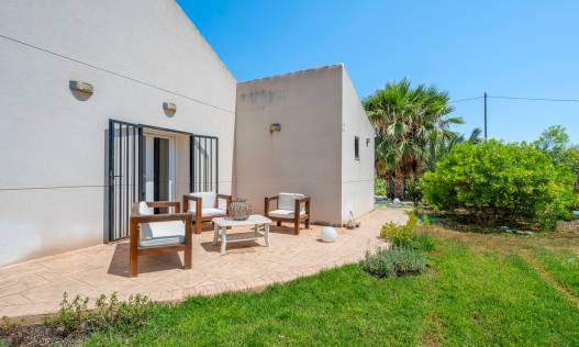 Bestaand - Finca - Elche - Elche/Elx