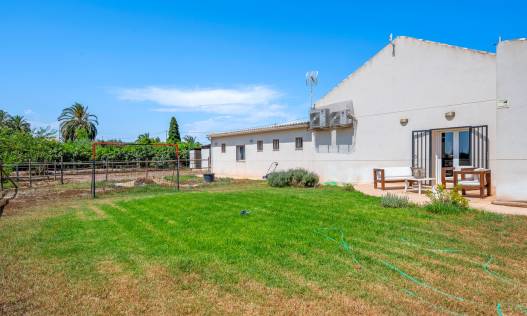 Bestaand - Finca - Elche - Elche/Elx