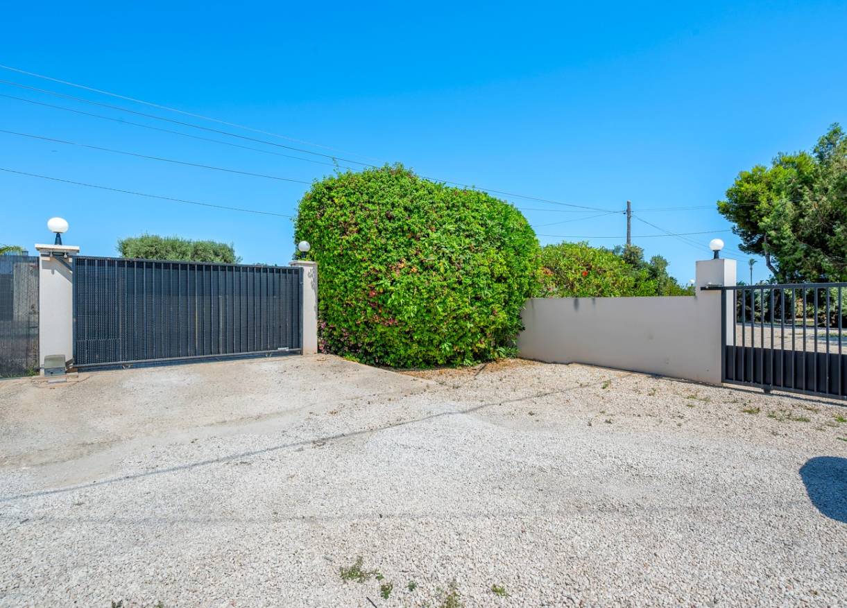 Bestaand - Finca - Elche - Elche/Elx