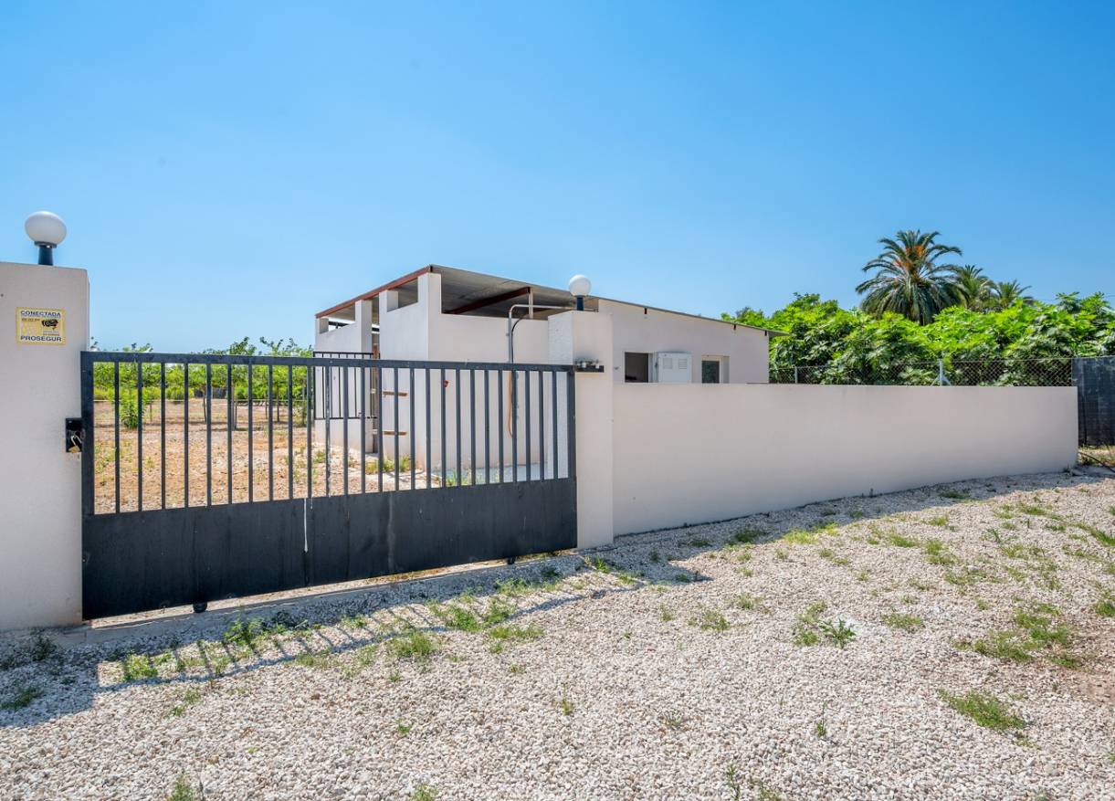 Bestaand - Finca - Elche - Elche/Elx