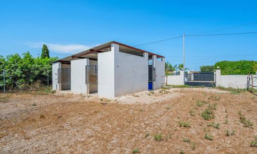 Bestaand - Finca - Elche - Elche/Elx