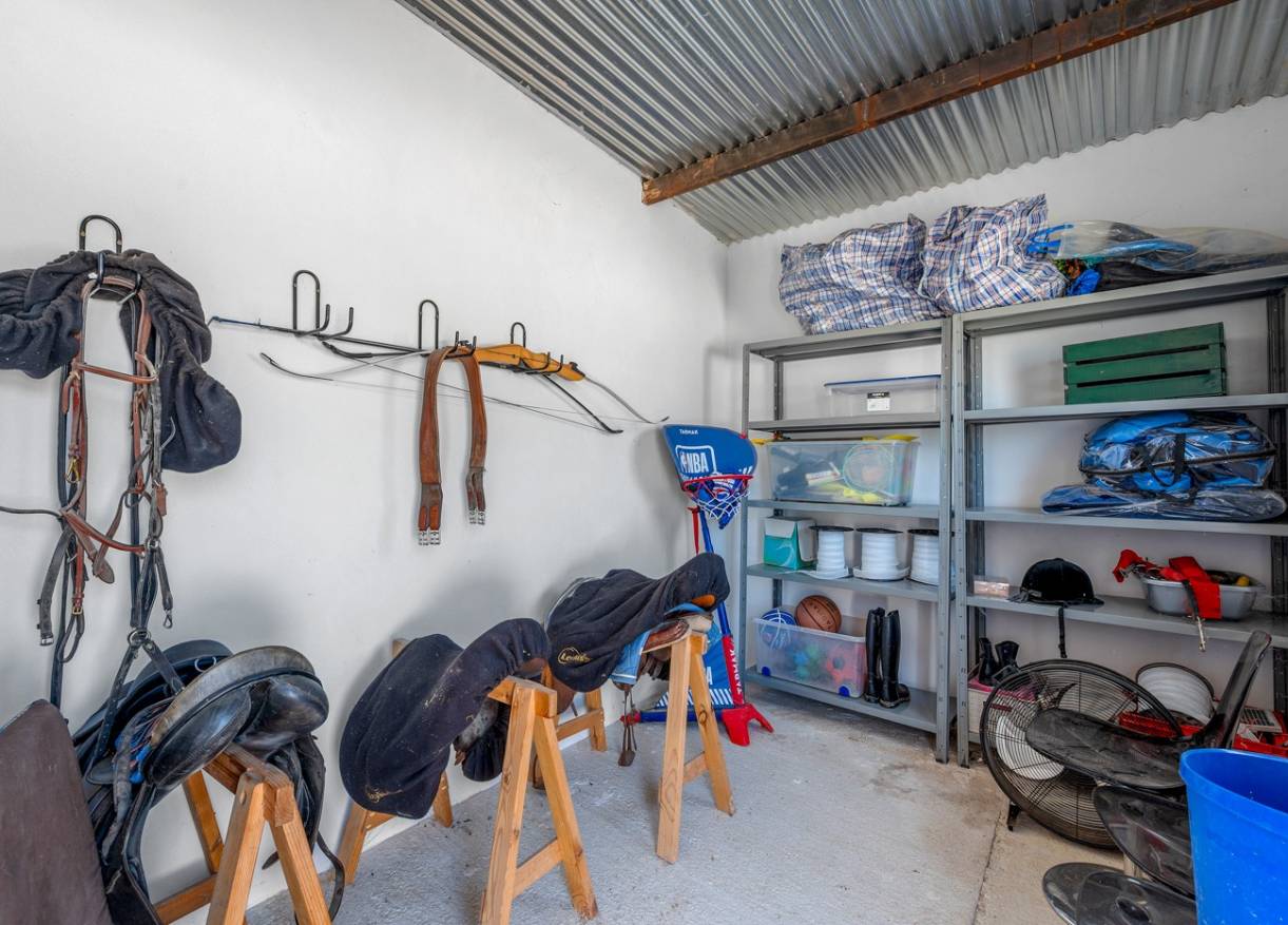 Bestaand - Finca - Elche - Elche/Elx