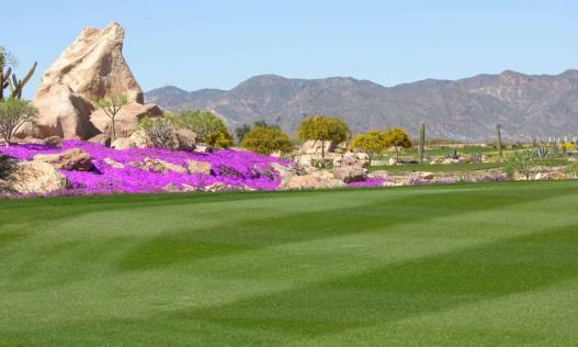 Bestaand - Villa - Cuevas del Almanzora - Villaricos