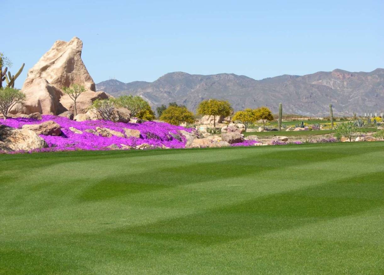 Bestaand - Appartement - Cuevas del Almanzora - Villaricos