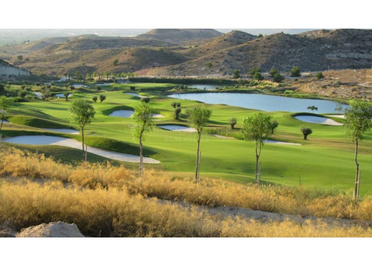 Nieuwbouw - Appartement - Monforte Del Cid