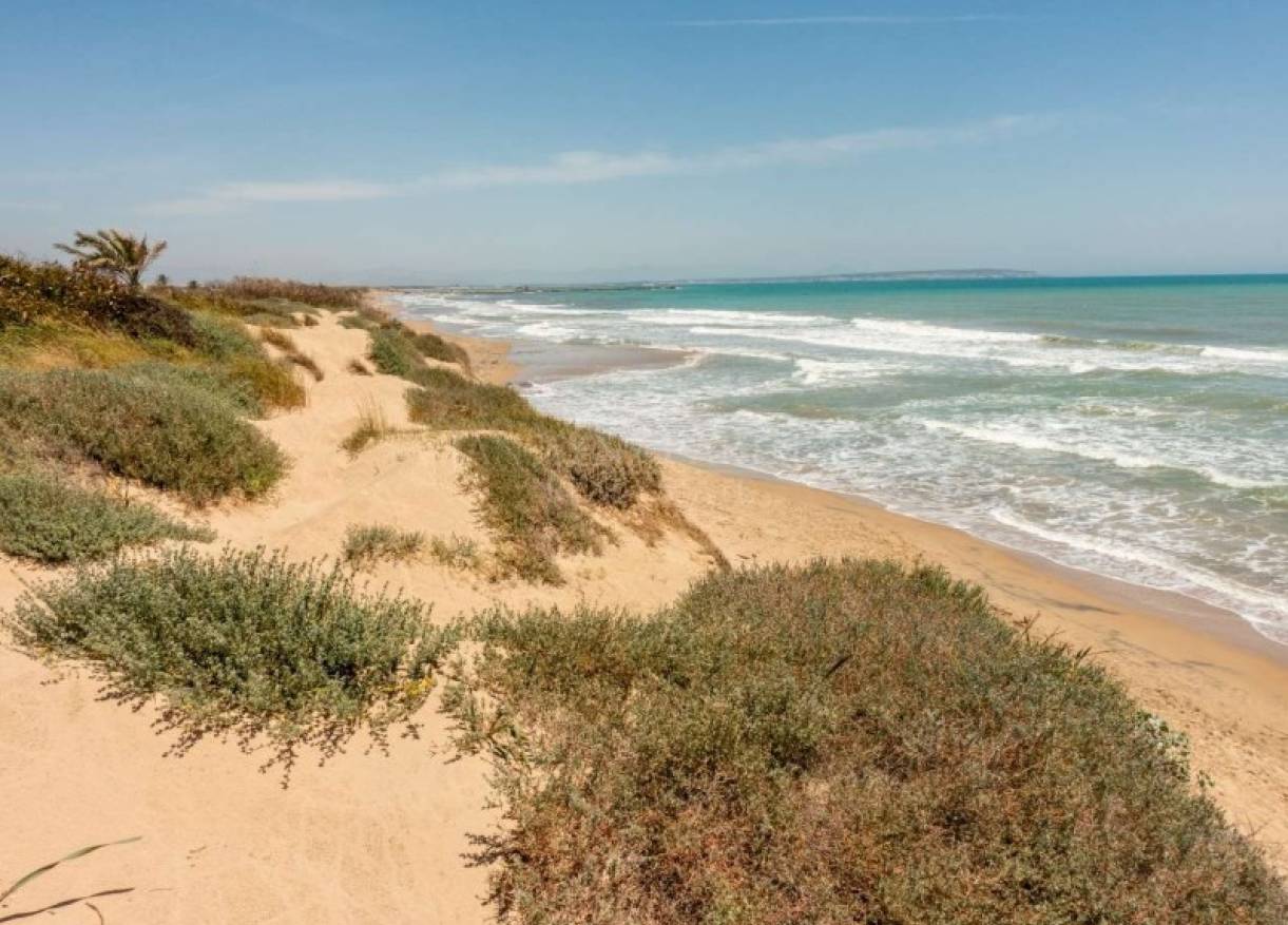 Nieuwbouw - Appartement - Guardamar del segura - puerto deportivo