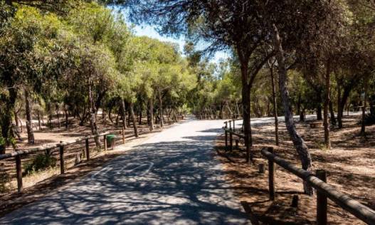 Nieuwbouw - Appartement - Guardamar del segura - puerto deportivo