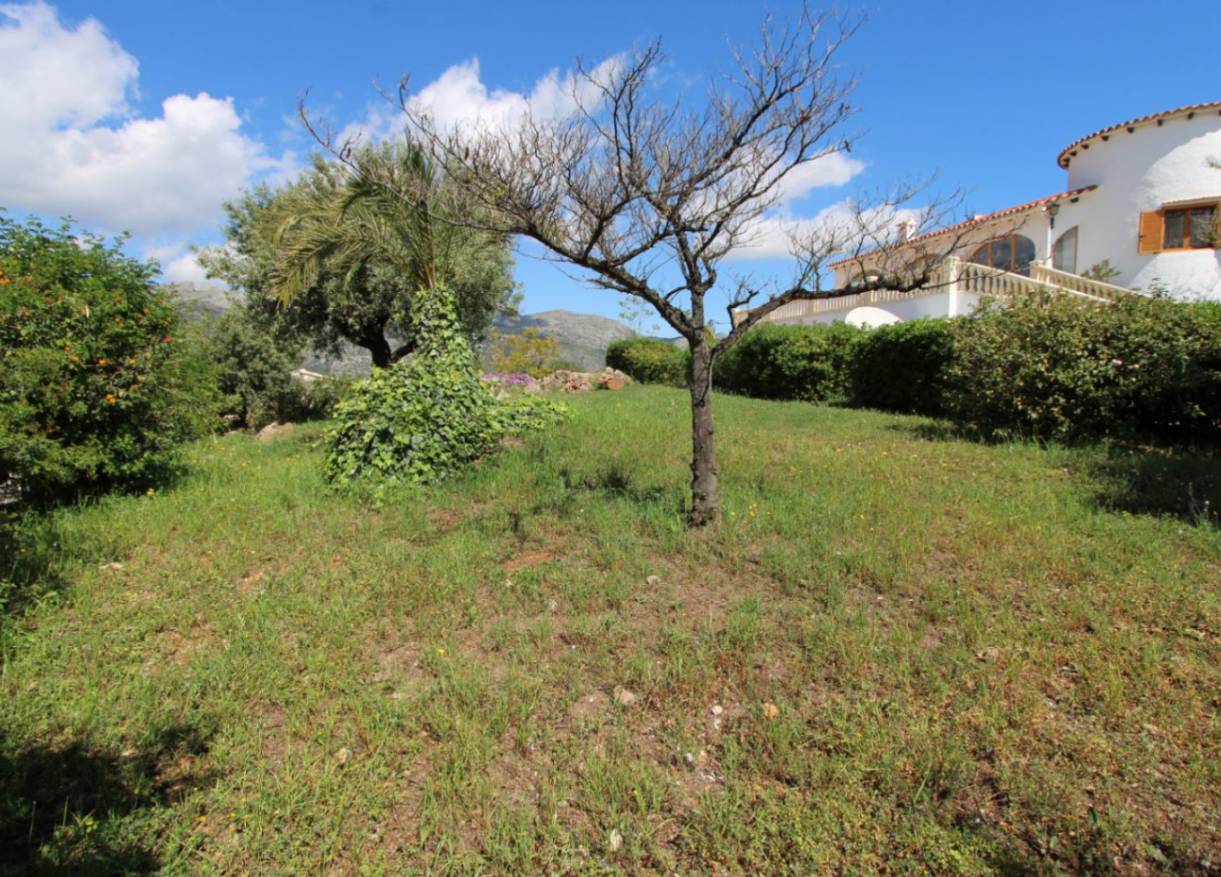 Bestaand - Villa - Orba Valley - Orba Vallei