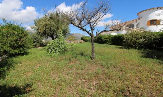Bestaand - Villa - Orba Valley - Orba Vallei